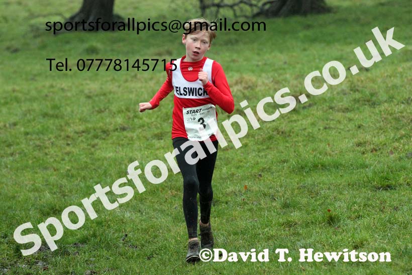 Boys under-13s, NECAA Junior Cross Country Relays, Thornley Farm, Peterlee, Saturday, December 12th. Photo: David T. Hewitson/Sports for All Pics